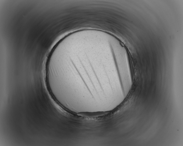 X0000087311523200705112107