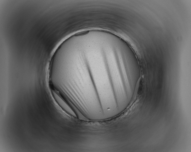 X0000087311524200705112107