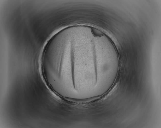 X0000087311525200705112107