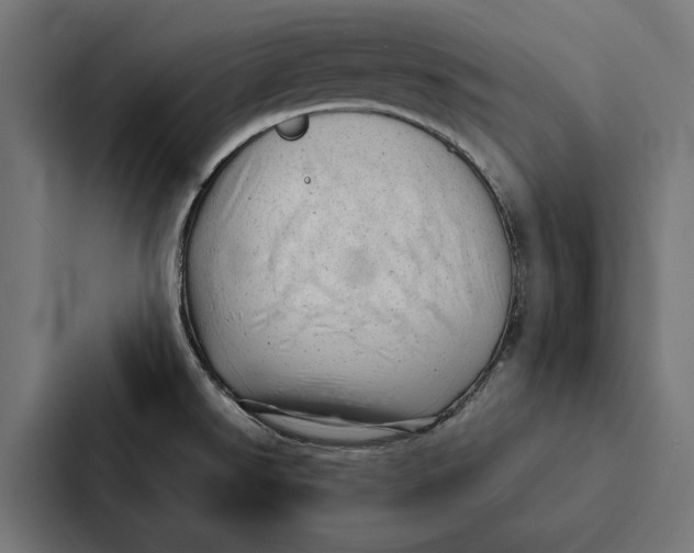 X0000087311526200705112107