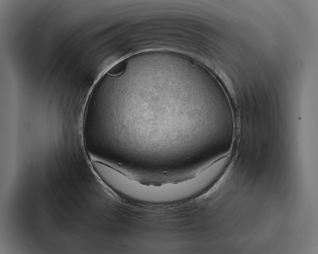 X0000087311529200705112107