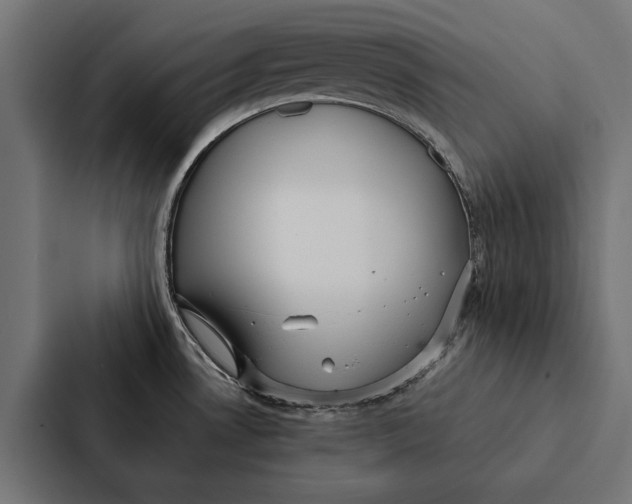 X0000087311530200705112107