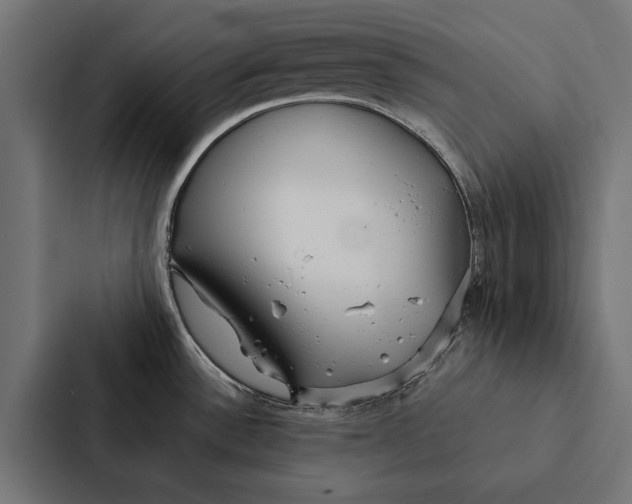 X0000087311532200705112107