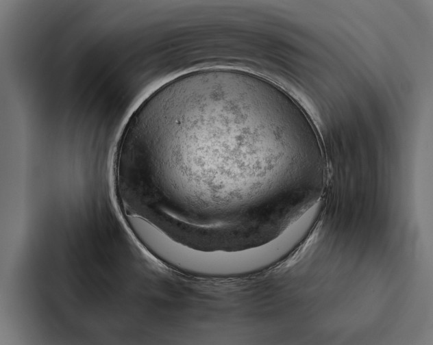 X0000087311533200705112107