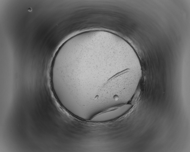 X0000087311534200705112107