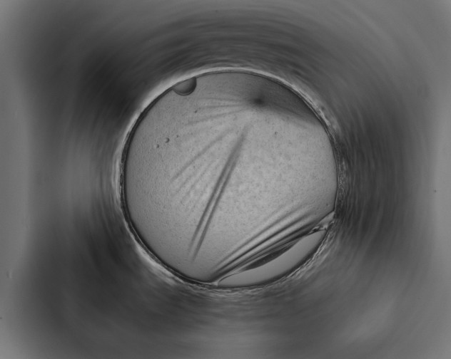 X0000087311535200705112107