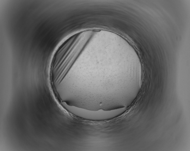 X0000087311536200705112107