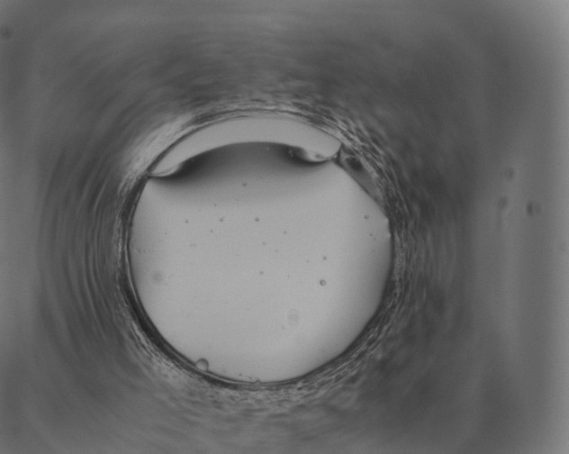 X0000087310005200705180957