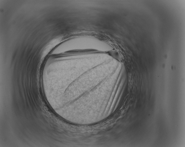 X0000087310006200705180957