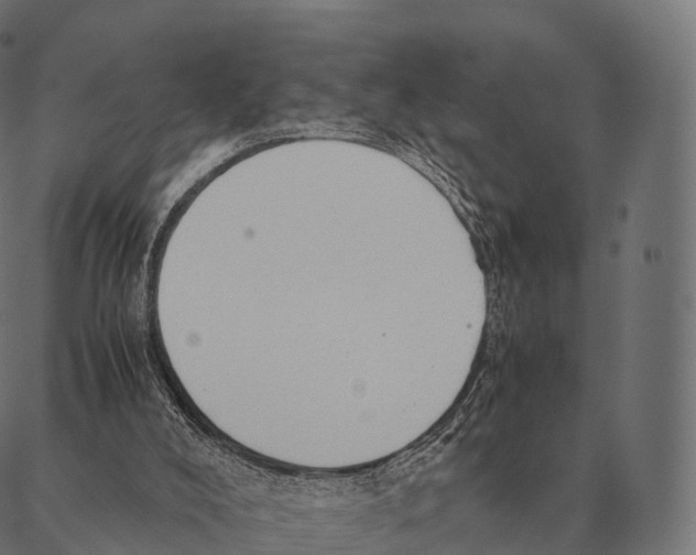 X0000087310008200705180957