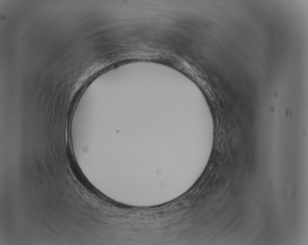 X0000087310011200705180957