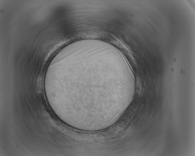 X0000087310012200705180957