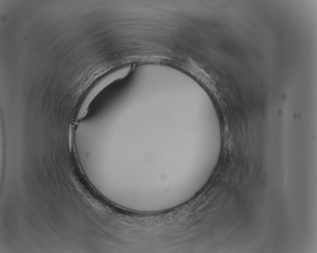 X0000087310013200705180957