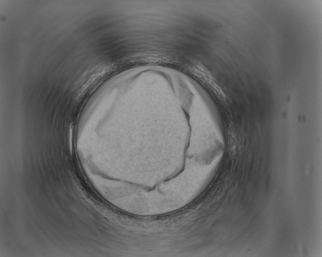 X0000087310014200705180957