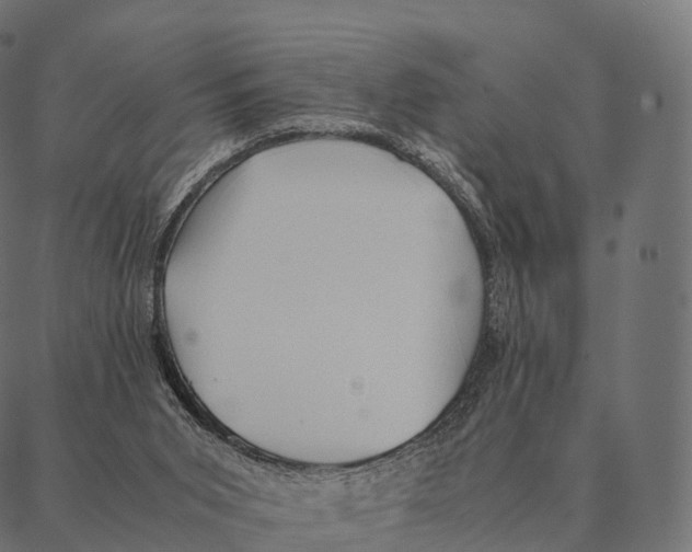 X0000087310015200705180957