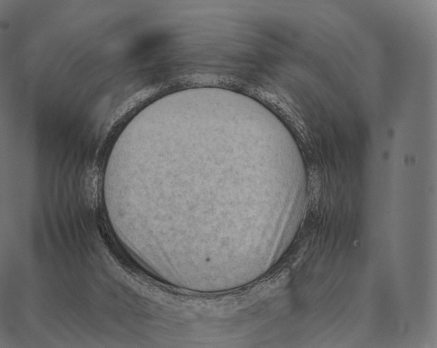 X0000087310016200705180957