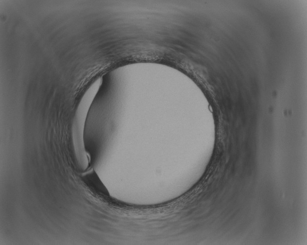 X0000087310017200705180957