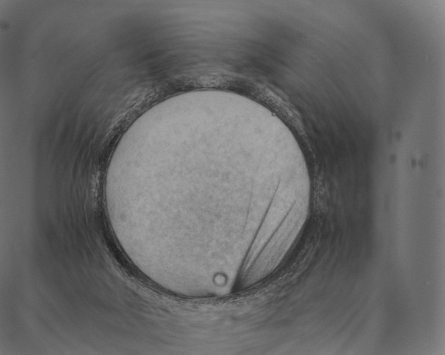 X0000087310018200705180957