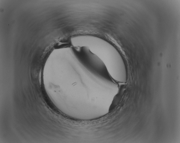 X0000087310019200705180957