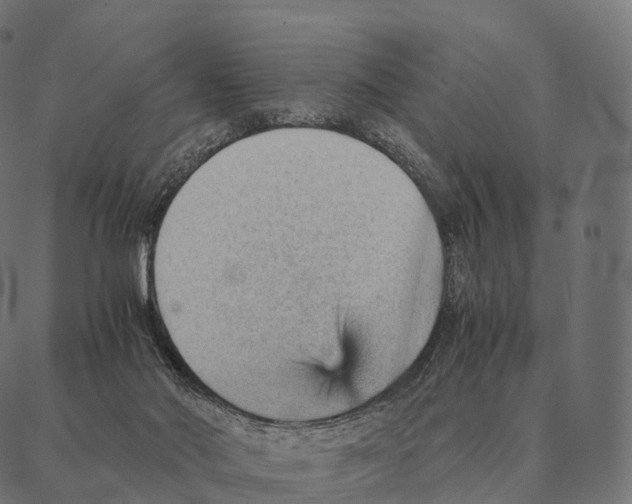 X0000087310022200705180957