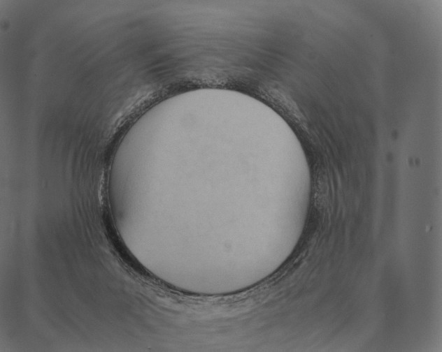 X0000087310023200705180957