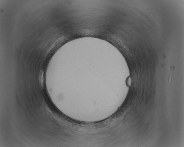 X0000087310024200705180957