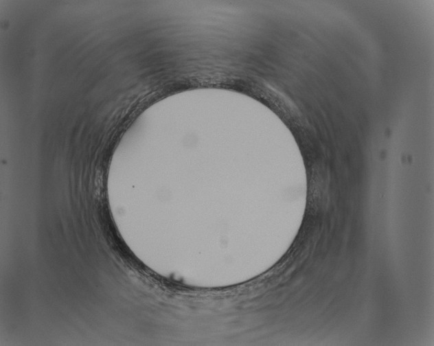 X0000087310025200705180957