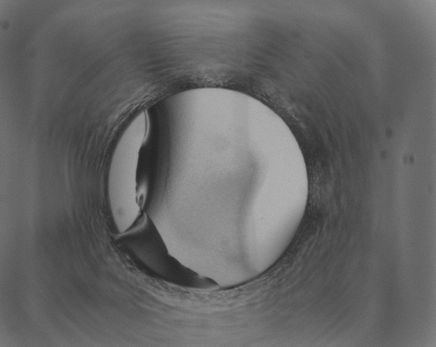 X0000087310027200705180957