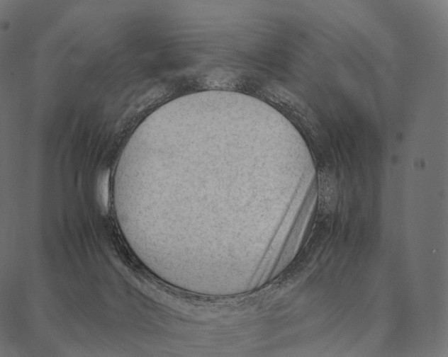 X0000087310028200705180957