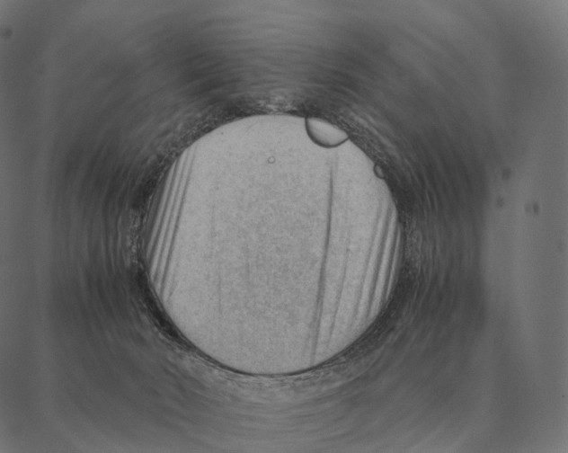 X0000087310030200705180957