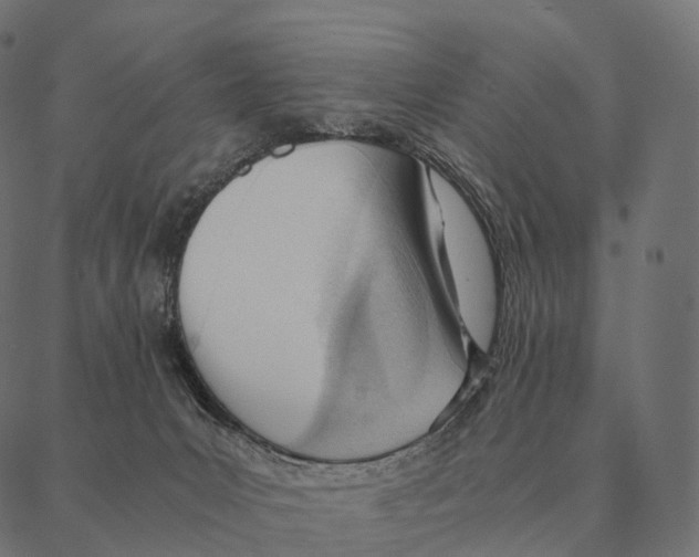 X0000087310031200705180957