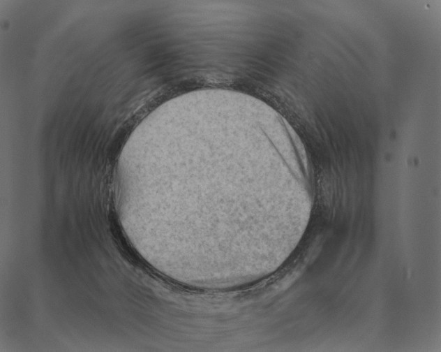 X0000087310032200705180957