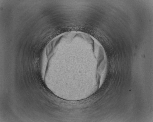 X0000087310034200705180957