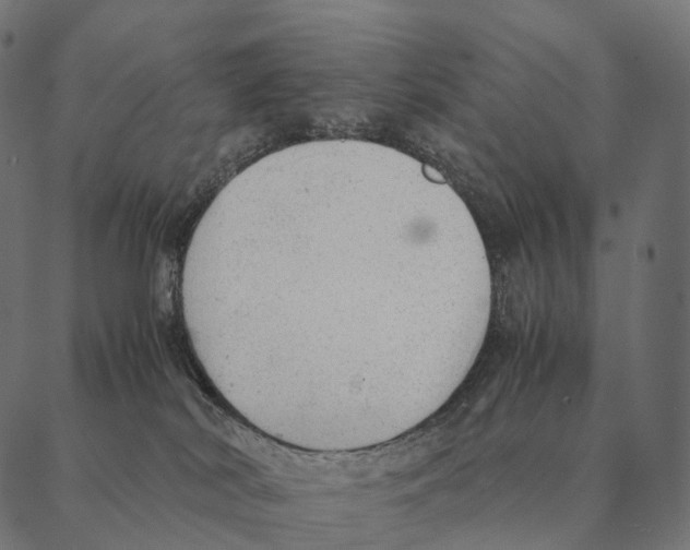 X0000087310038200705180957