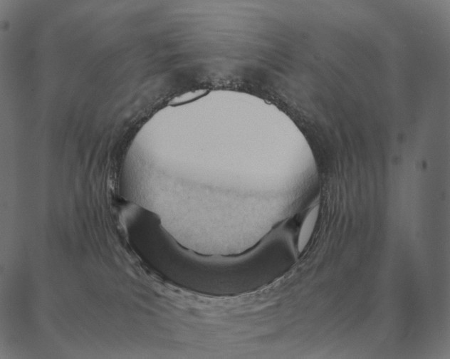 X0000087310039200705180957