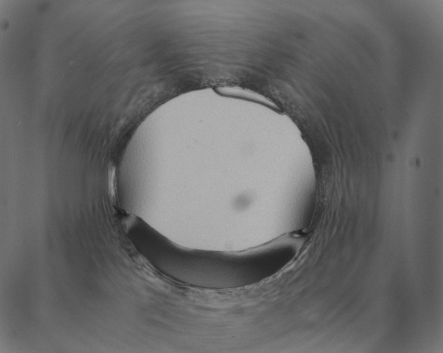 X0000087310041200705180957