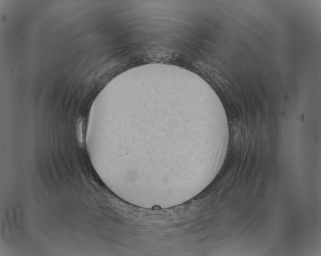 X0000087310042200705180957