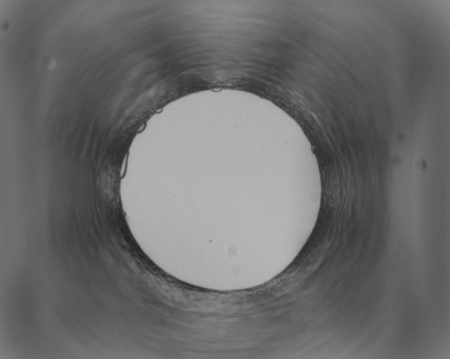 X0000087310044200705180957