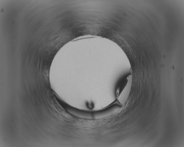 X0000087310045200705180957