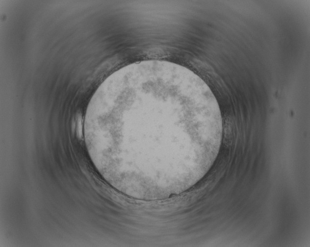 X0000087310046200705180957