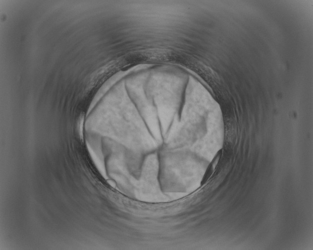 X0000087310047200705180957