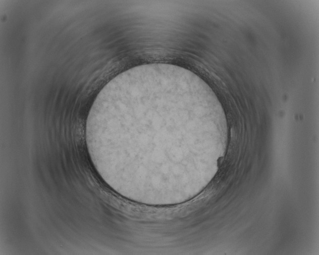 X0000087310048200705180957