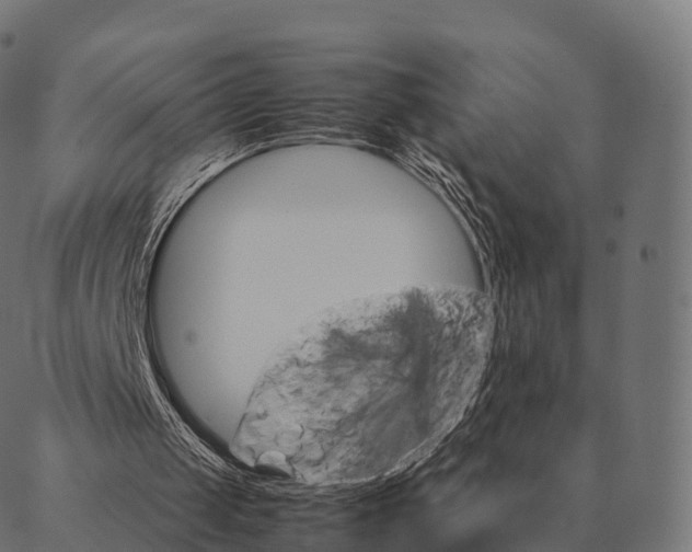 X0000087310049200705180956