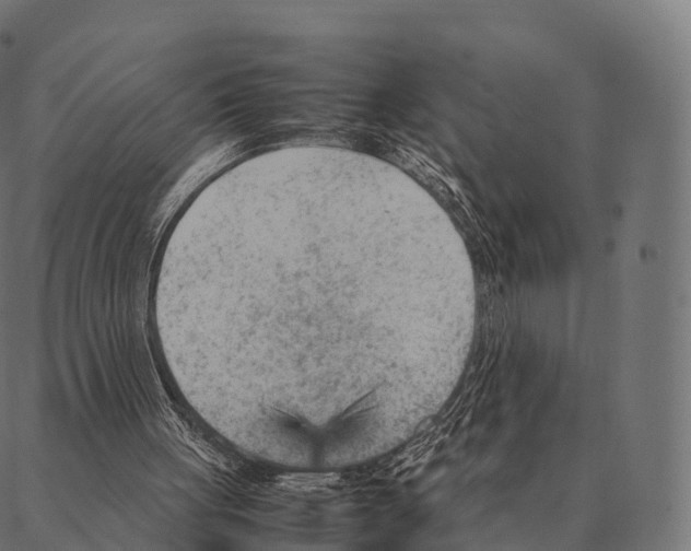 X0000087310051200705180956