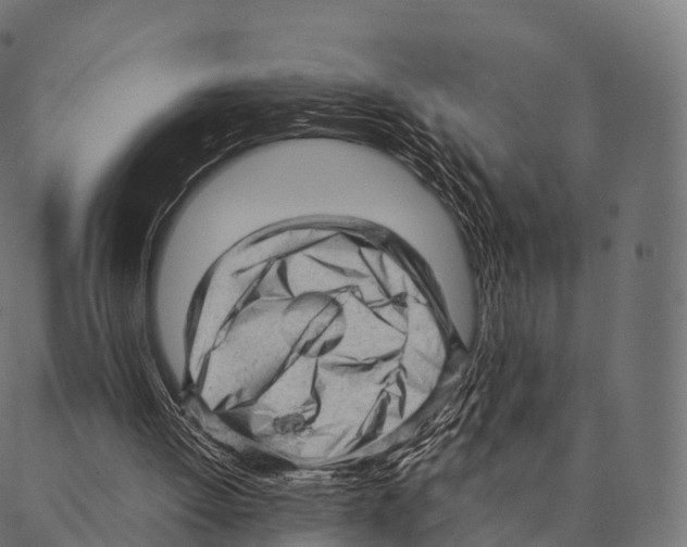 X0000087310052200705180956