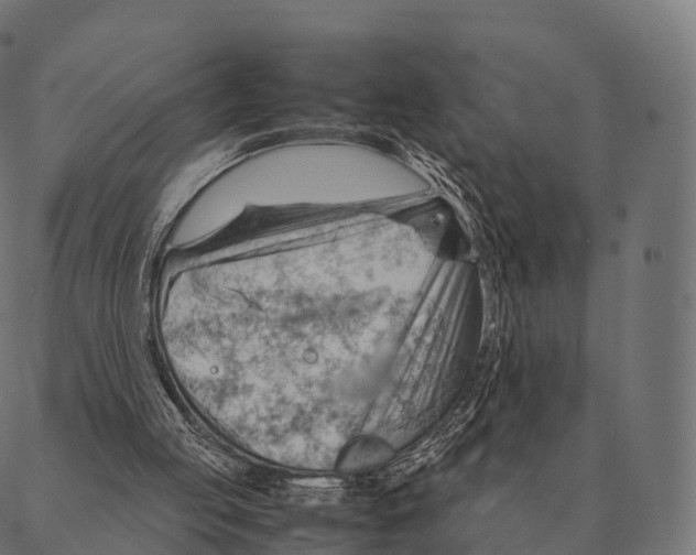 X0000087310053200705180956