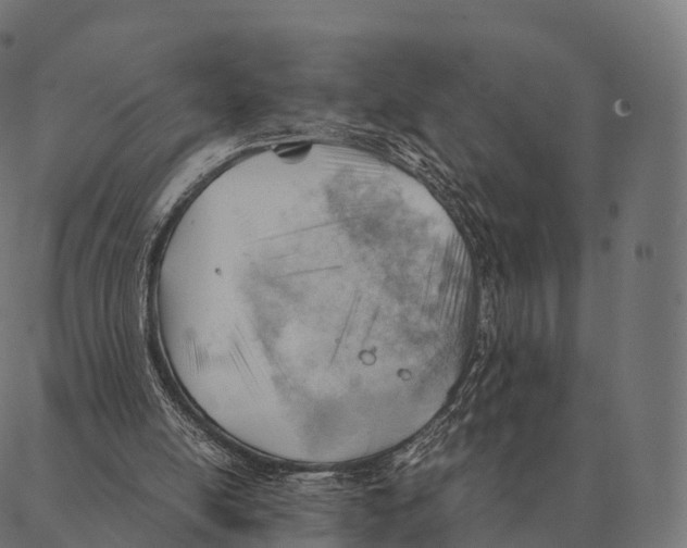 X0000087310054200705180956