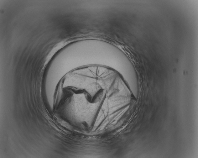 X0000087310056200705180956