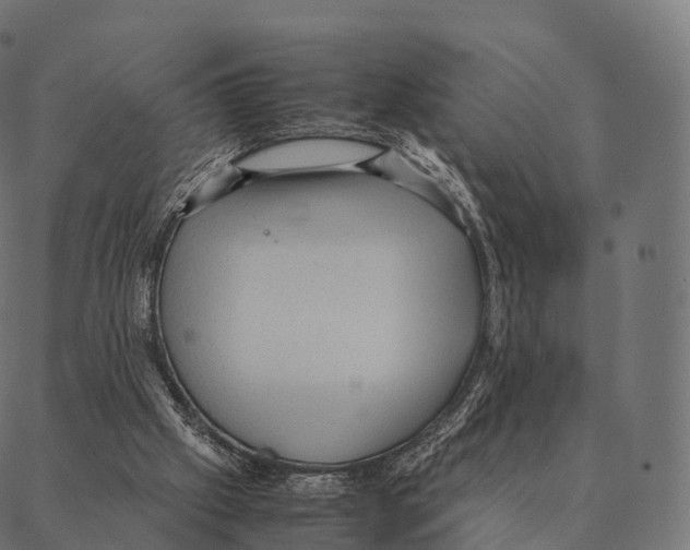 X0000087310057200705180956