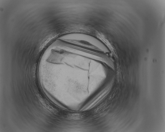 X0000087310058200705180956